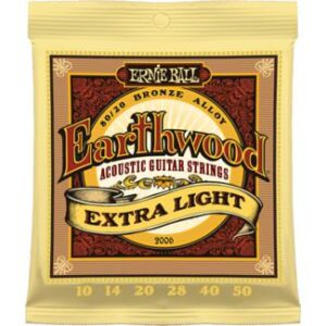 ernie_ball_EB_2006_EARTHWOOD_EX__LIGHT