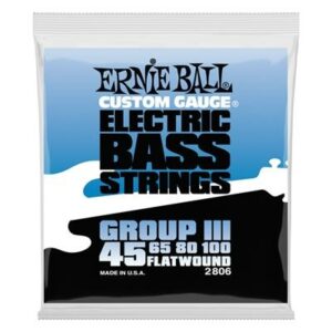 Ernie_Ball_EB_2806