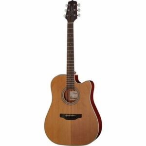 Takamine_GD20CE_NS