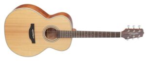 4210220_Takamine_GN20_NS_jpeg
