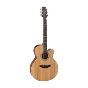 Takamine_GN20CE_NS