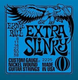 Ernie_Ball_EB_2225