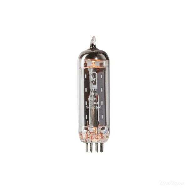 EZ81_6CA4_TAD_PREMIUM_SELECTED_RECTIFIER_TUBE