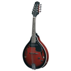 GEWApure_Folk_mandoliini_Tenson_A_1E_Black_Cherry